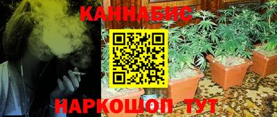 индика Северобайкальск