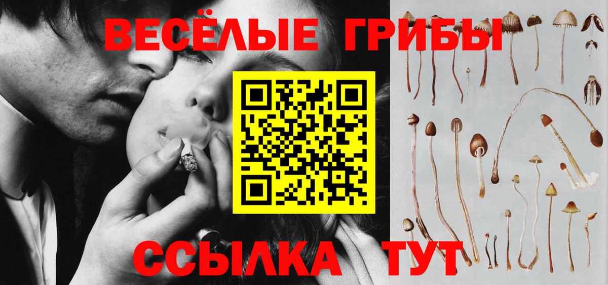 Псилоцибиновые грибы Magic Shrooms  Галлюциногенные грибы прущие грибы  Осинники  Вход с VPN 
