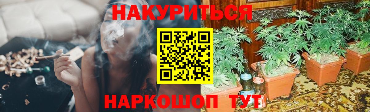 Бошки марихуана SATIVA & INDICA  МАРИХУАНА конопля  Шишки марихуана White Widow  Осинники  Вход с VPN 